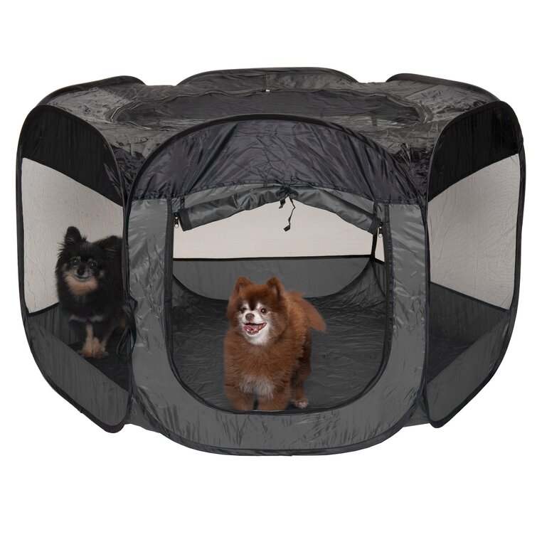 Portable dog pen for large clearance dogs